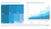 iCapital - Alternatives Decoded Q4 2024 - Final-48