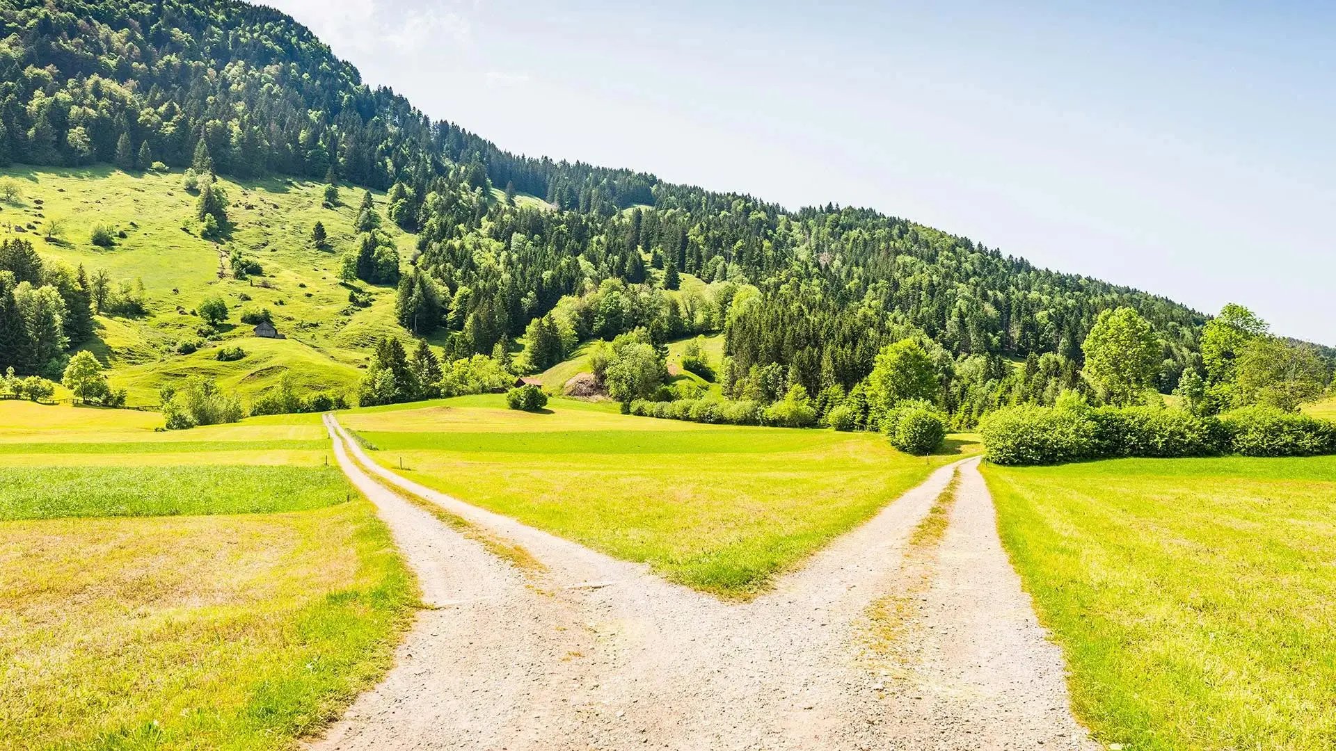 finding-areas-conviction-header