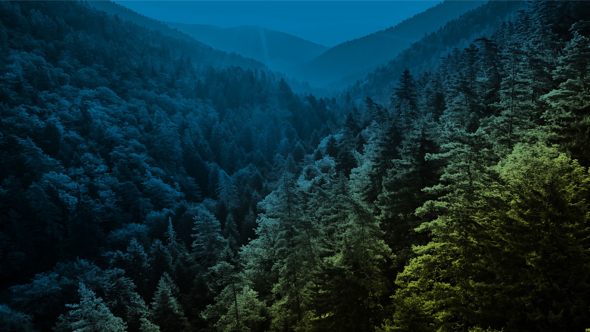 Evergreen-header-1